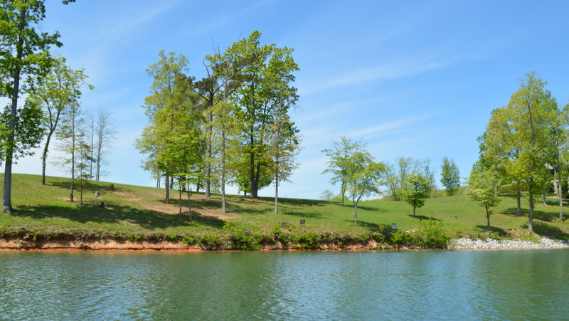 Norris Lake Lots for Sale