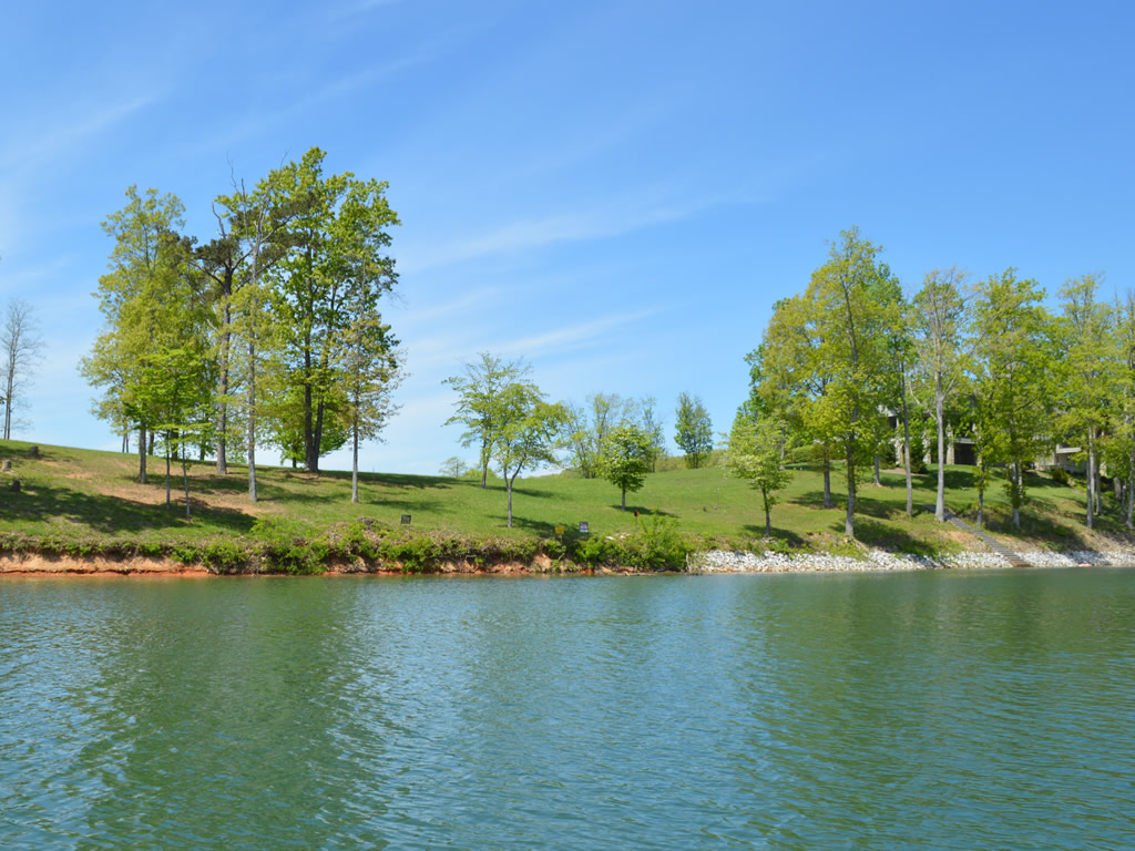 norris lake lots for sale